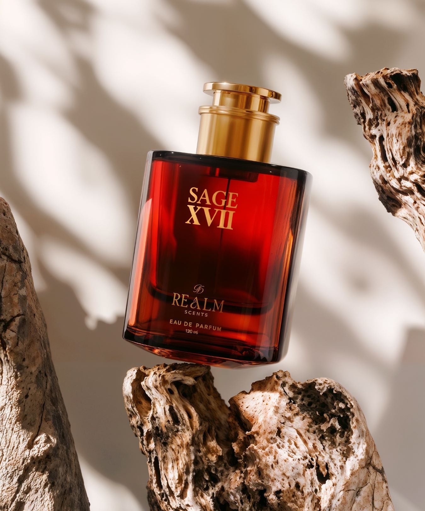 Sage XVII